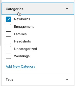 block-editor-categories-options.jpg