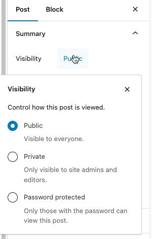 block-editor-visibility-display-options.jpg