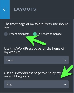 prophoto-builder-posts-page-options.jpg