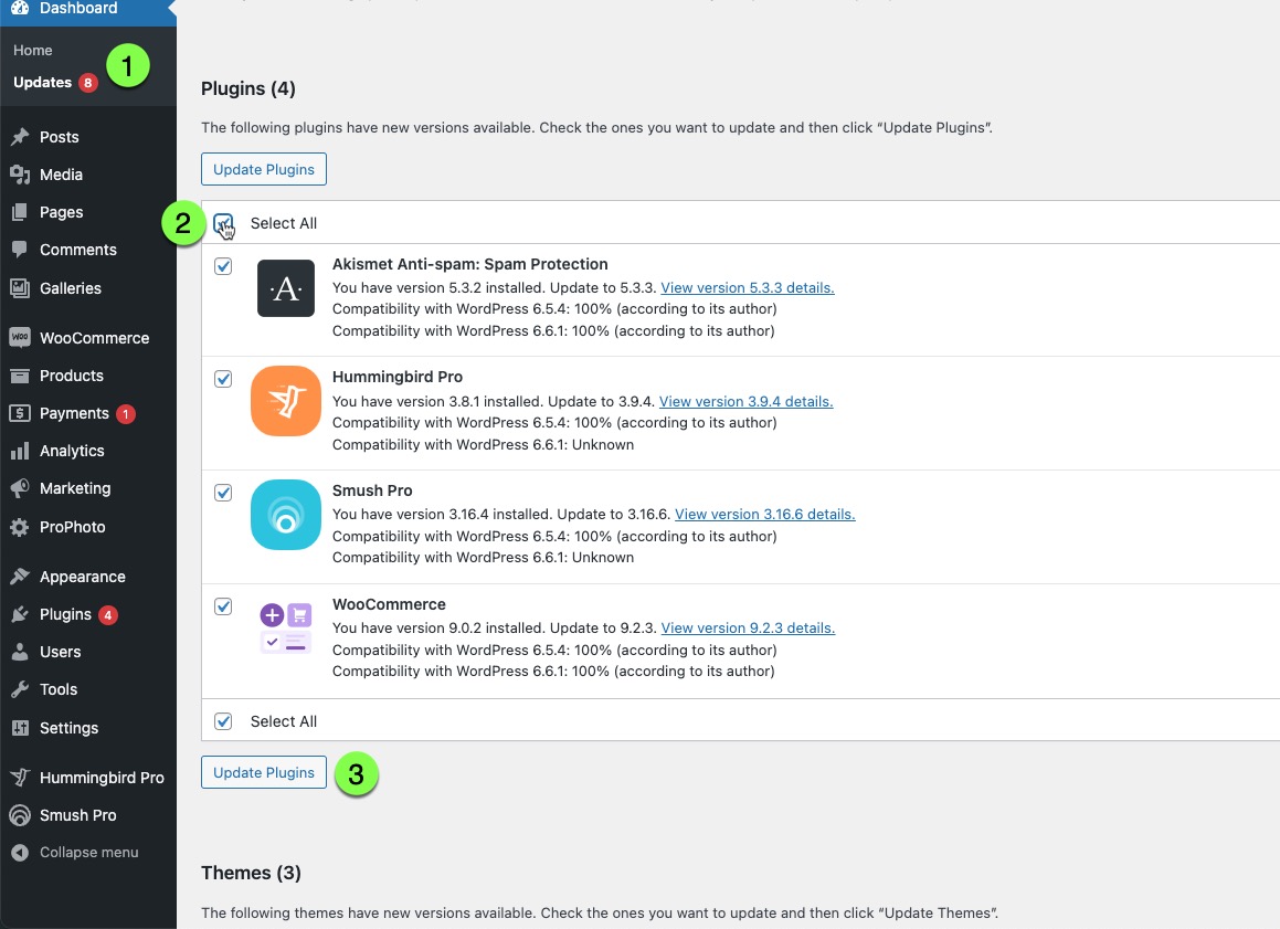 WordPress Updating Plugins.jpg