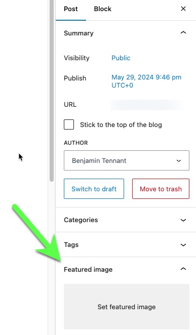 Featured Image Area Block Editor.jpg