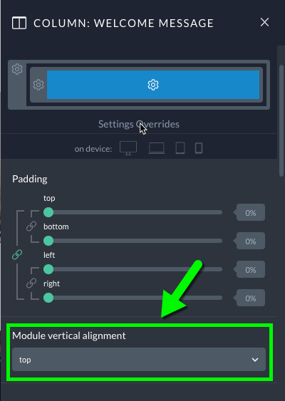 Visual-Builder-Module-Vertical-Alignment-Setting.png
