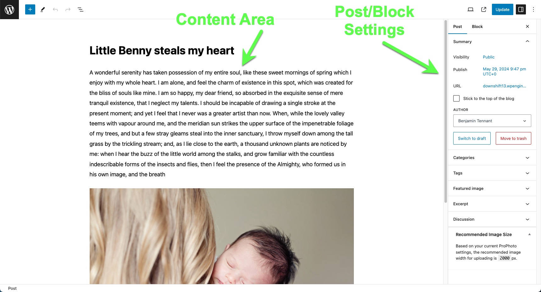 block-editor-sections.jpg