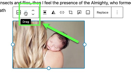 Block editor arrange blocks options.jpg