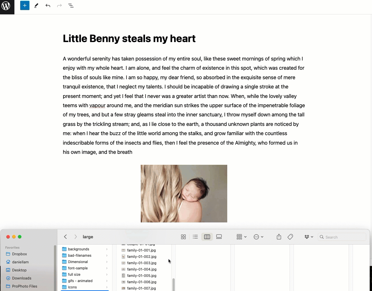 add single image to block editor.gif