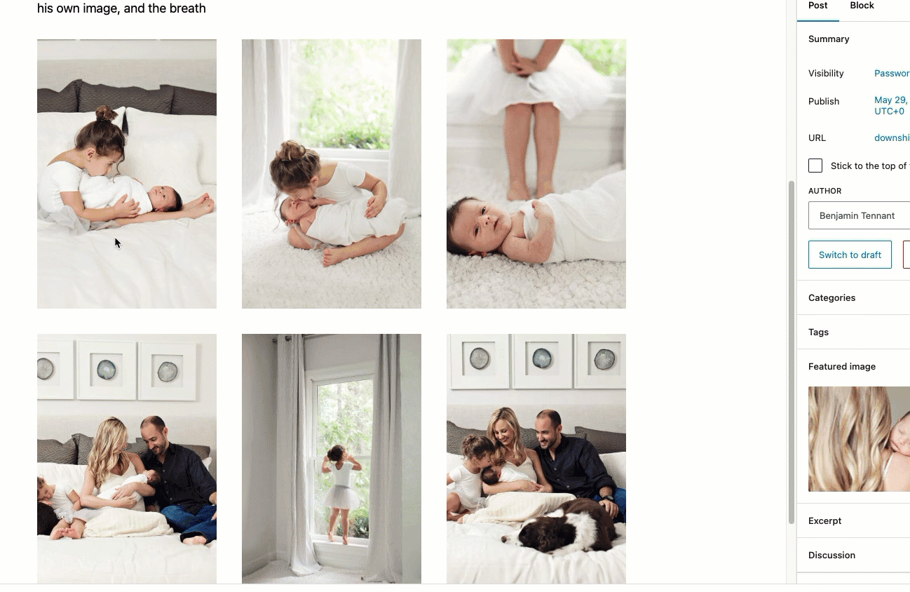 reordering images in gallery block.gif