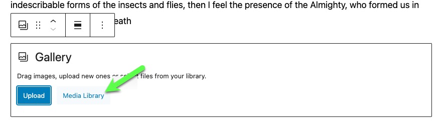 adding images via media library button.jpg
