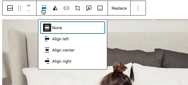 image block alignment options.jpg