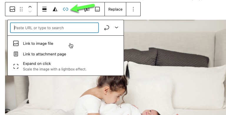 image block link options.jpg