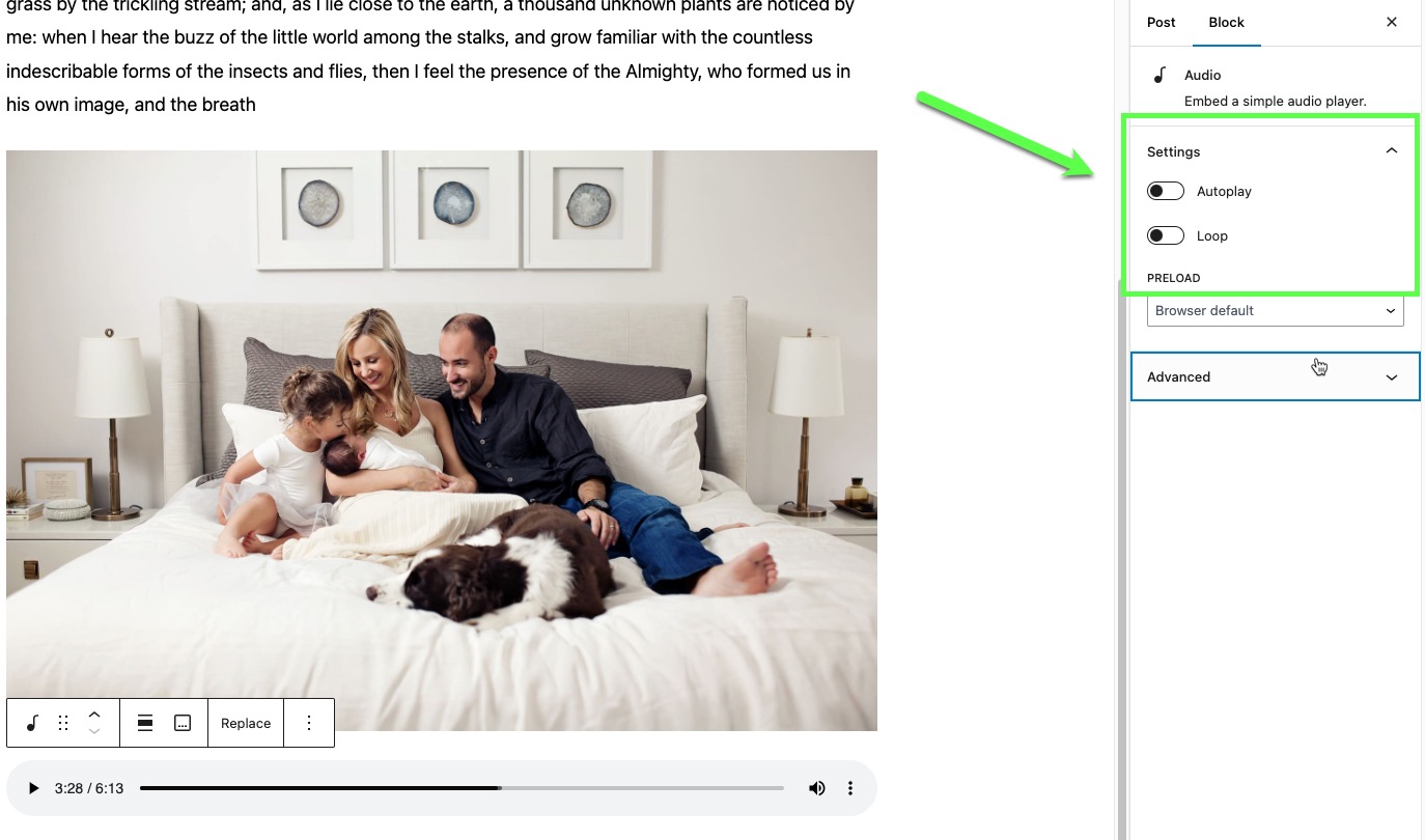 wordpress audion autoplay and loop options.jpg