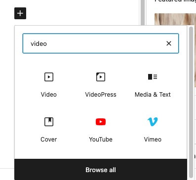 wordpress video block.jpg