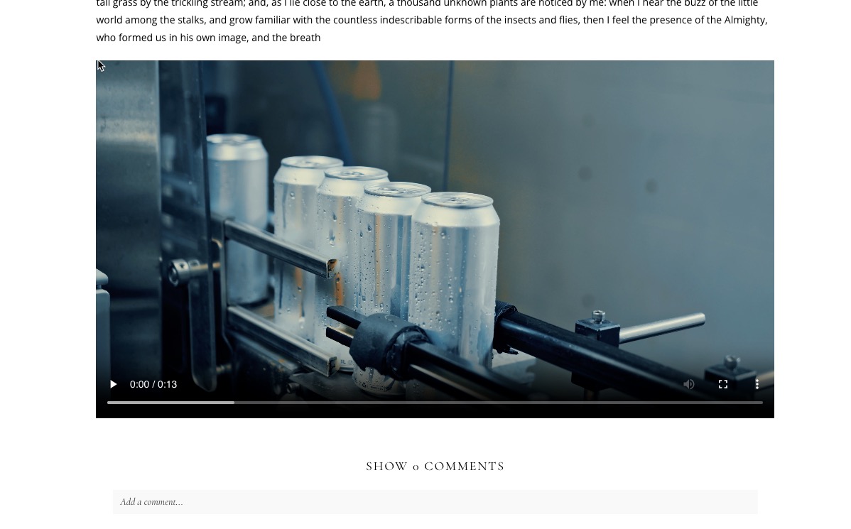 embedded video example.jpg