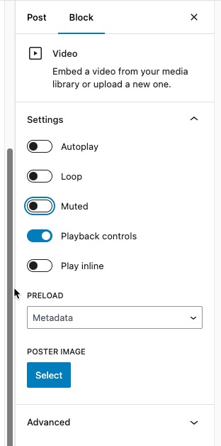 wordpress video block options.jpg