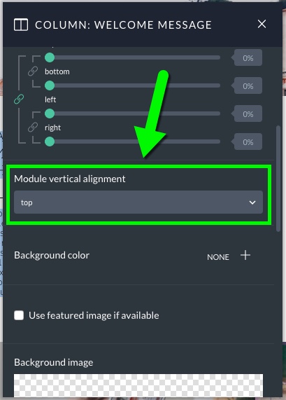Visual-Builder-Column-Apperance-Options.jpg