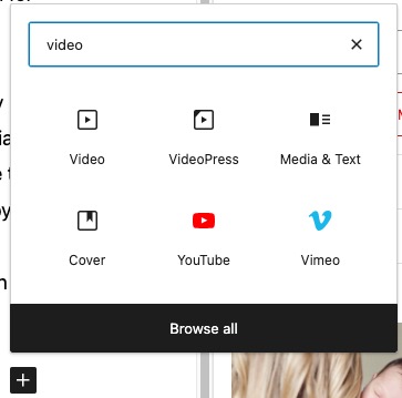 wordpress video embed block example.jpg