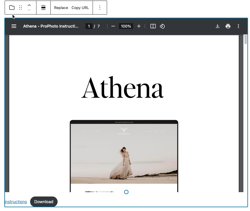 wordpress embedded pdf example.jpg