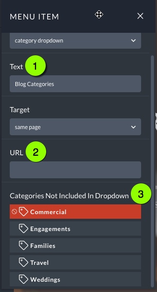Category-Dropdown-Menu-Link-Settings.jpg