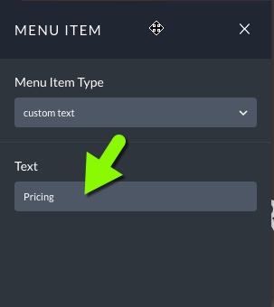 Custom-Text-Menu-Link-Settings.jpg