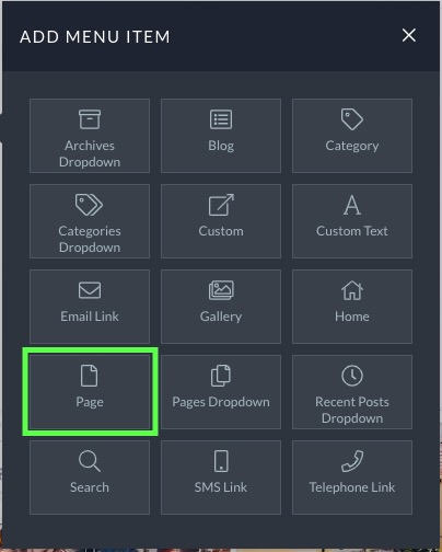 page link menu item.jpg
