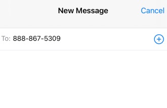 sms link text message example.jpg
