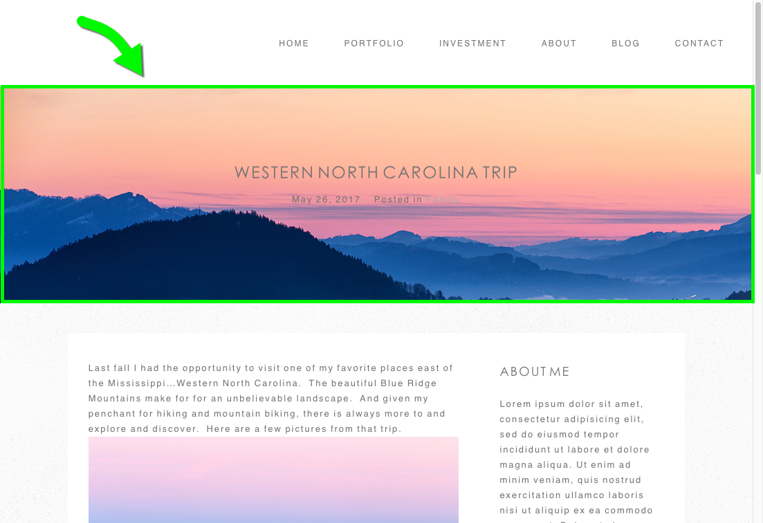 Post-header-widget-display-example.png