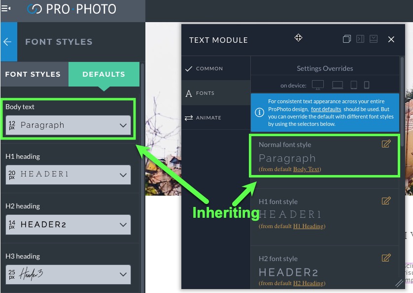 inheriting default font style example.jpg