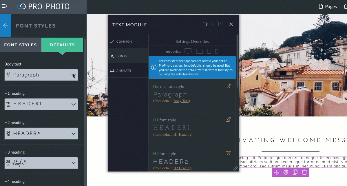 changing default font style example.gif