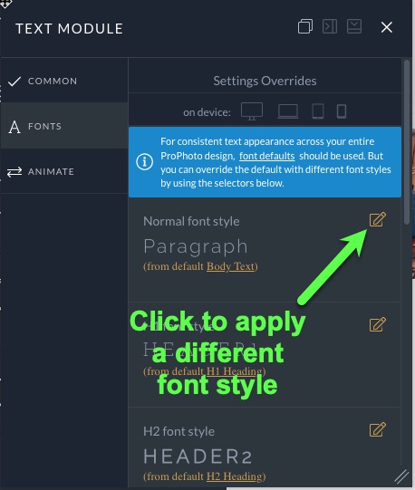 apply a different font style.jpg