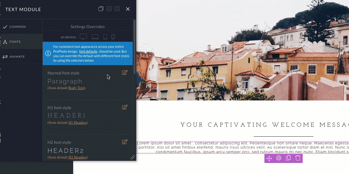 selecting a different font style.gif