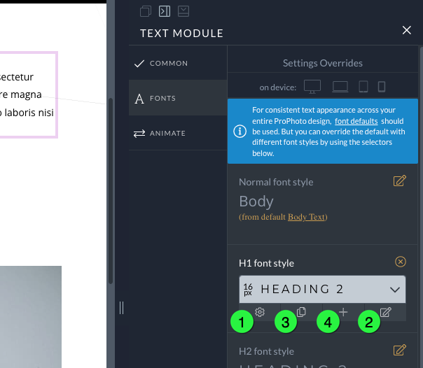 font-assignment-toolbar-options.png