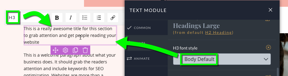 text_module_heading_override.jpg