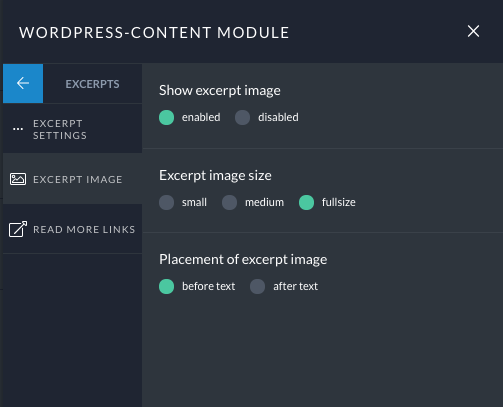 excerpts-standard-options.png