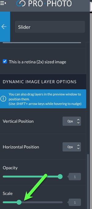 image layer scale setting.jpg
