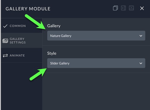 gallery module settings.jpg