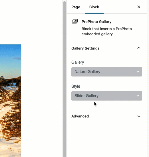 full size image gallery style.gif