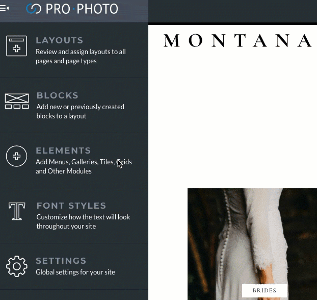 navigating to prophoto gallery styles.gif