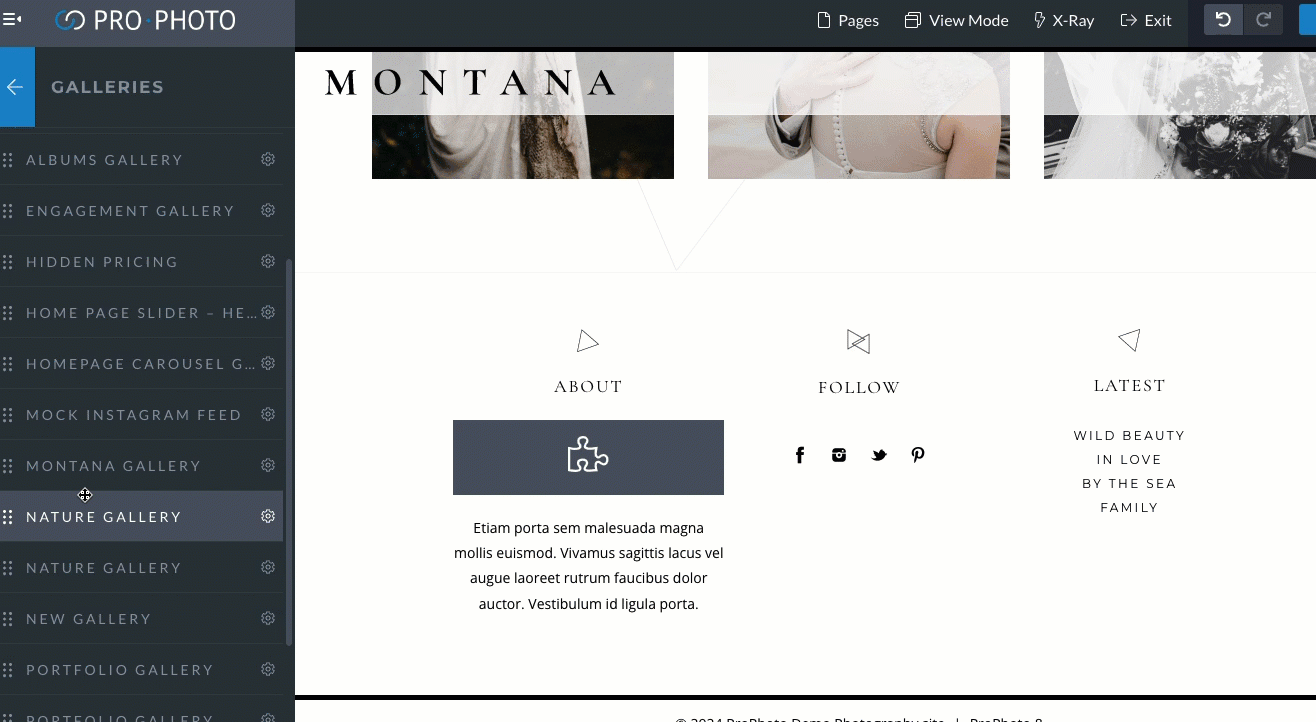 changing style in a gallery module.gif
