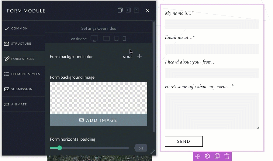 form style options.gif