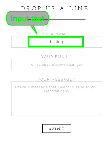 Form-Style-Input-Example.jpg