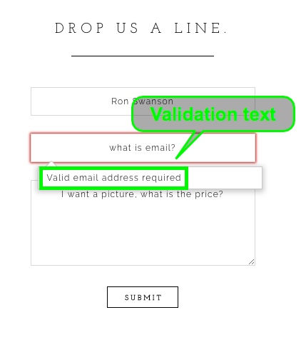 Form-Style-Validation-Text-Example.jpg
