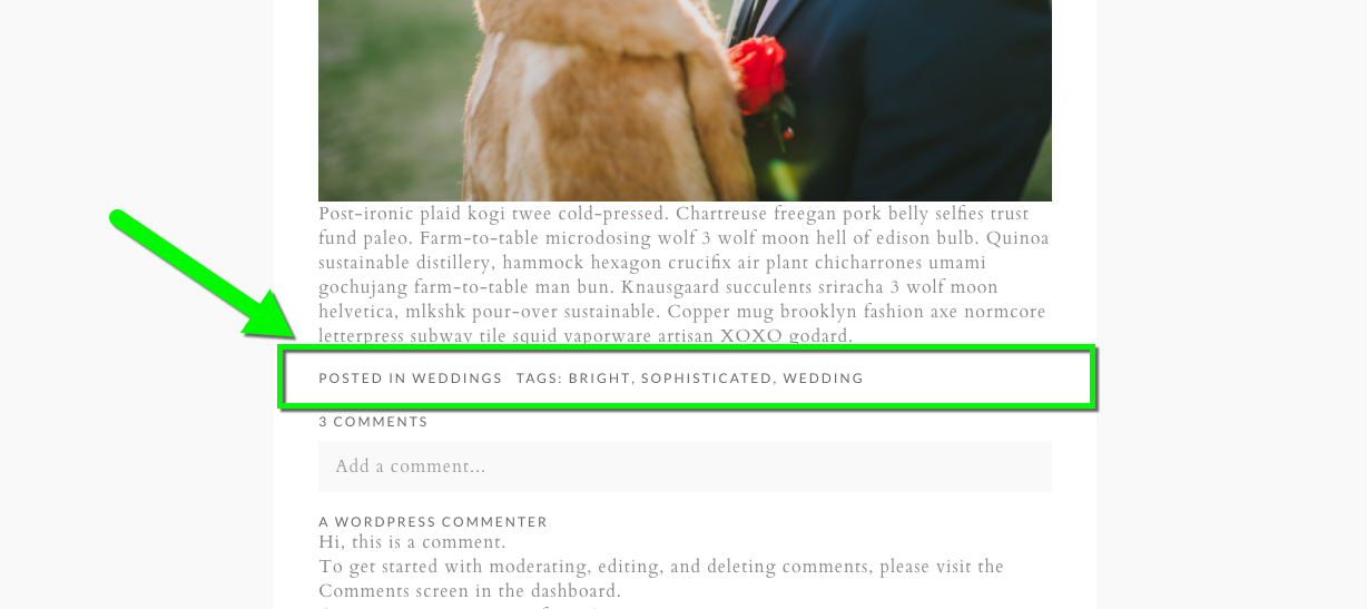 content-meta-footer-example.png