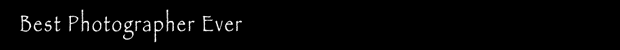 watermark.gif