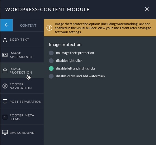 P7-Image-Protection-Options.jpg