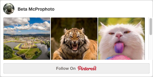 pinterest-profile-box-example.png