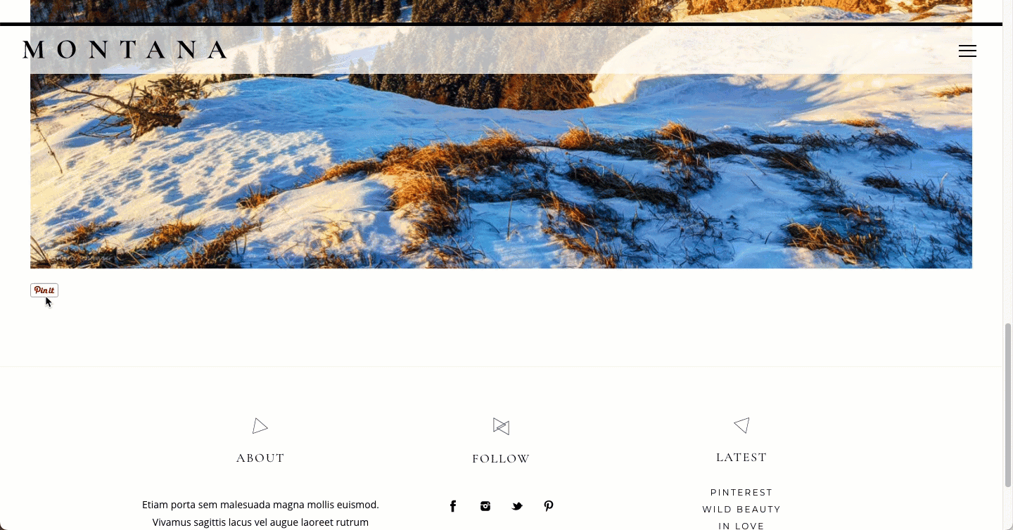pin image example.gif
