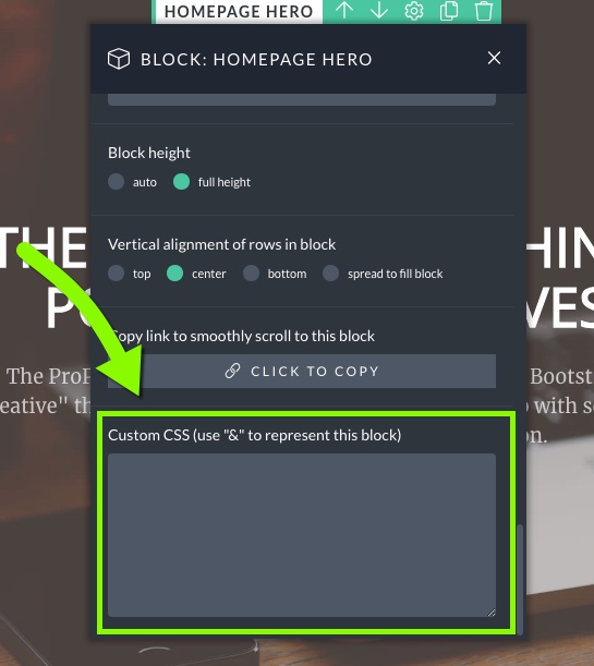 Settings-Custom-CSS-Block-Level.jpg