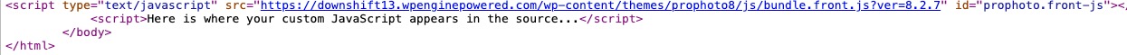 custom JS in source example.jpg