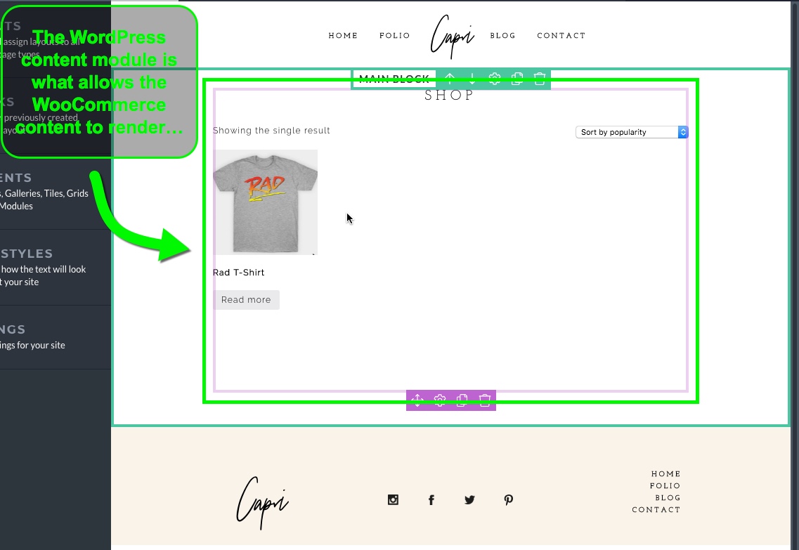WooCommerce-WordPress-Content-Module-Example.jpg