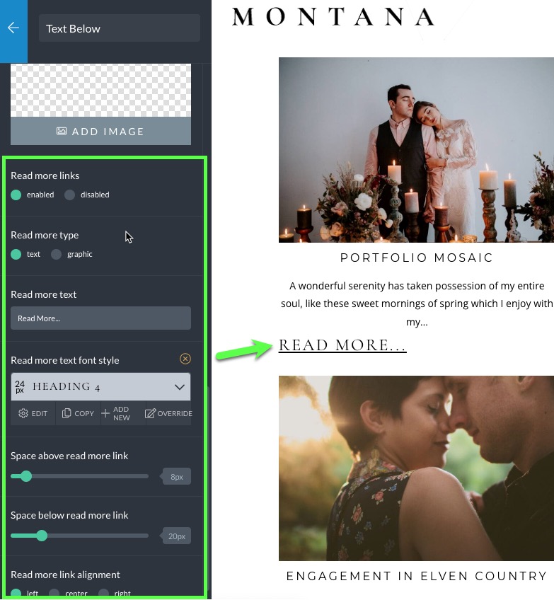 read more link options.jpg