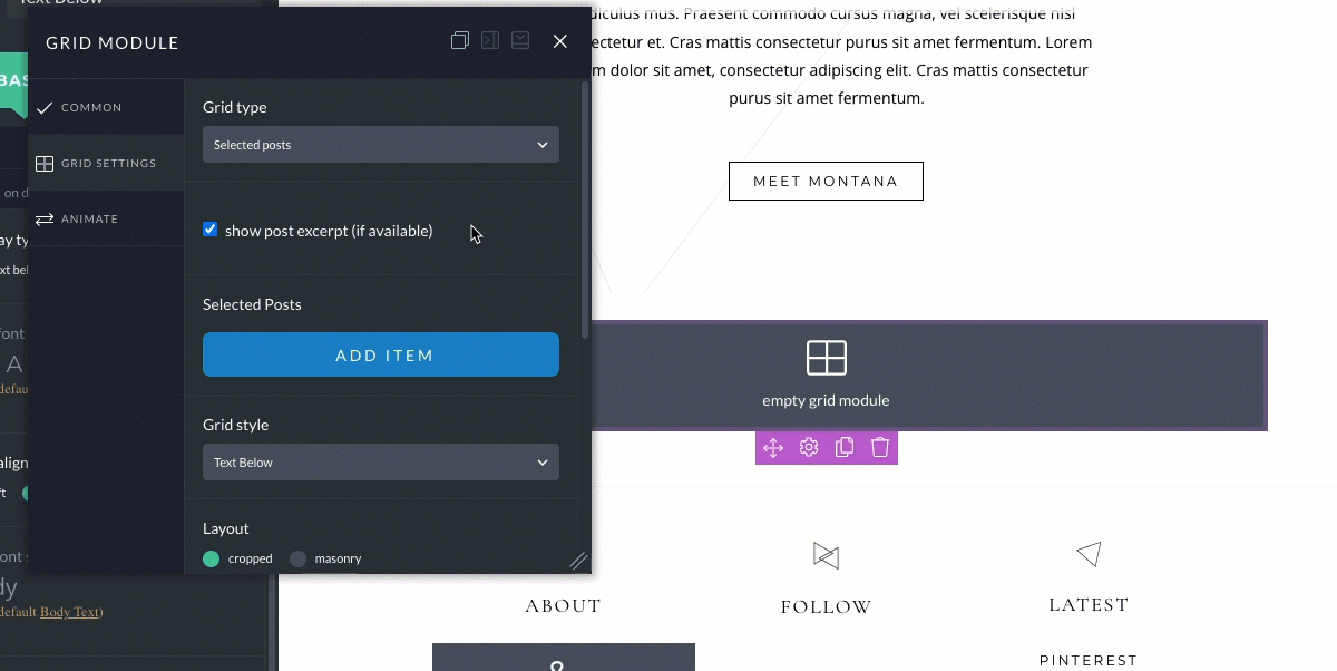 selected posts grid example.gif